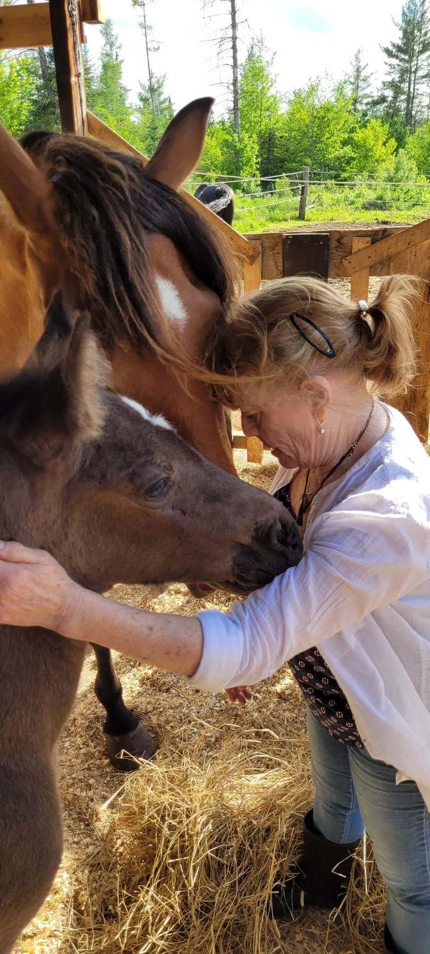 Equine Assisted Psychotherapy