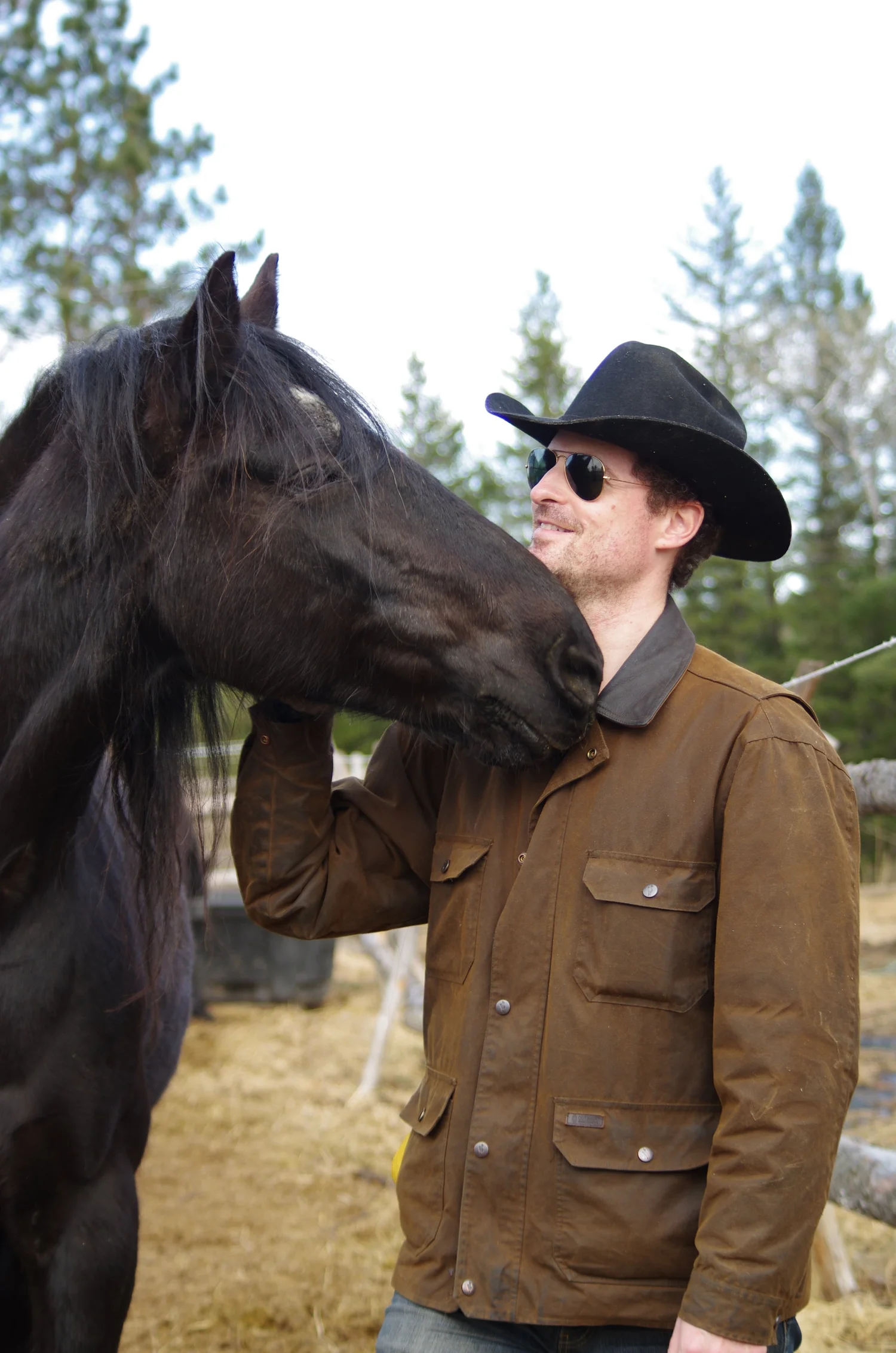 Horse therapy